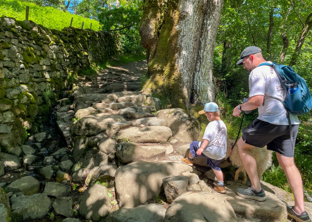 Aira Force walk