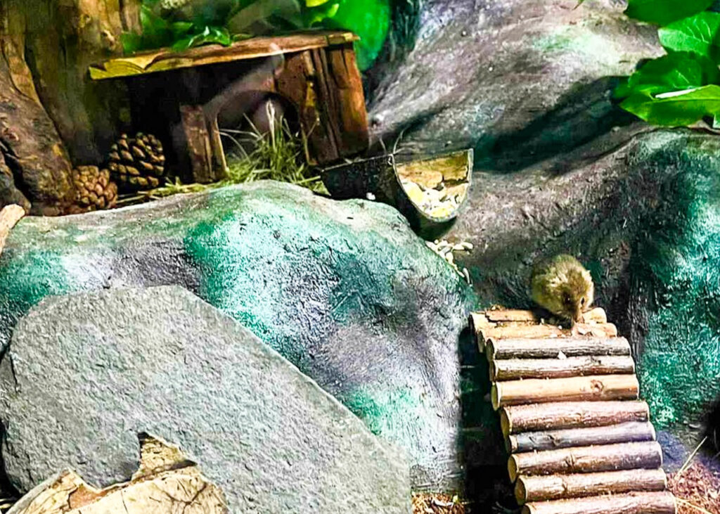 Lakes Aquarium