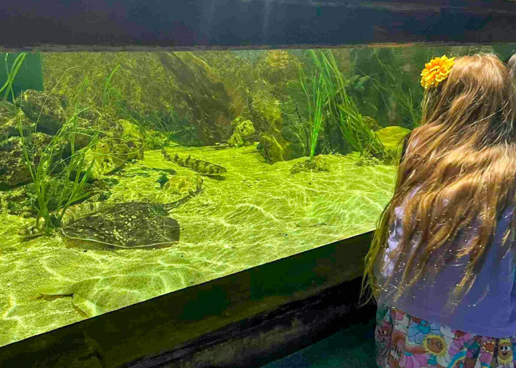 Lakes Aquarium