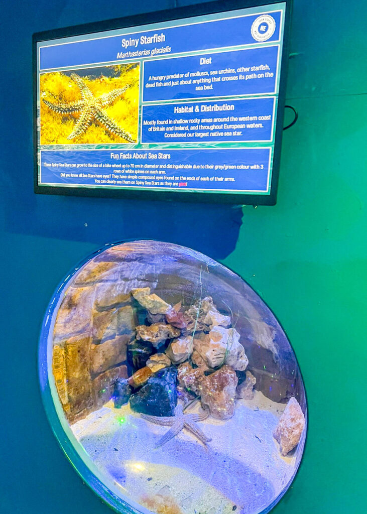 Lakes Aquarium