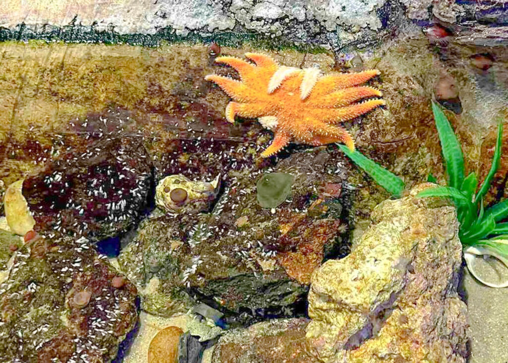 Lakes Aquarium