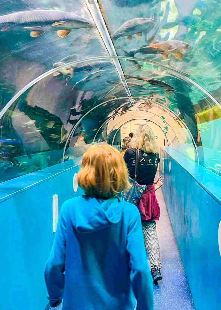 Lakes Aquarium