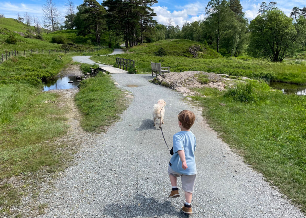 Tarn Hows pram-friendly walk