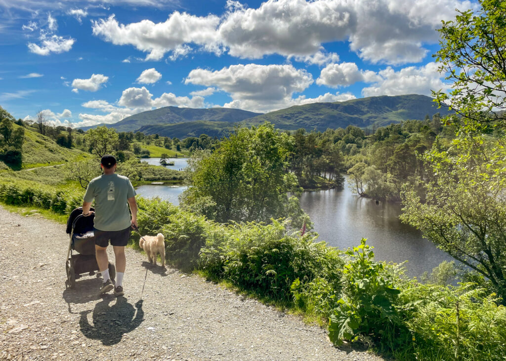 Tarn Hows pram-friendly walk