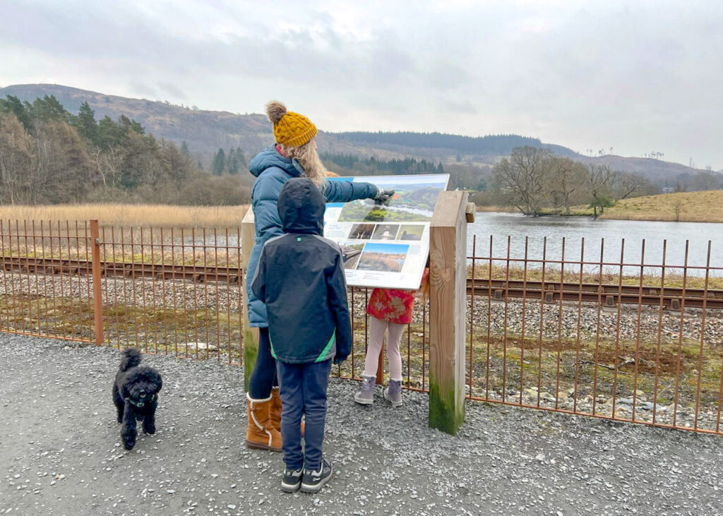 pram-friendly West Windermere walk