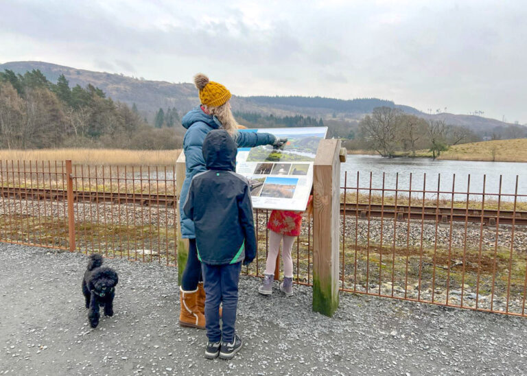 pram-friendly West Windermere walk