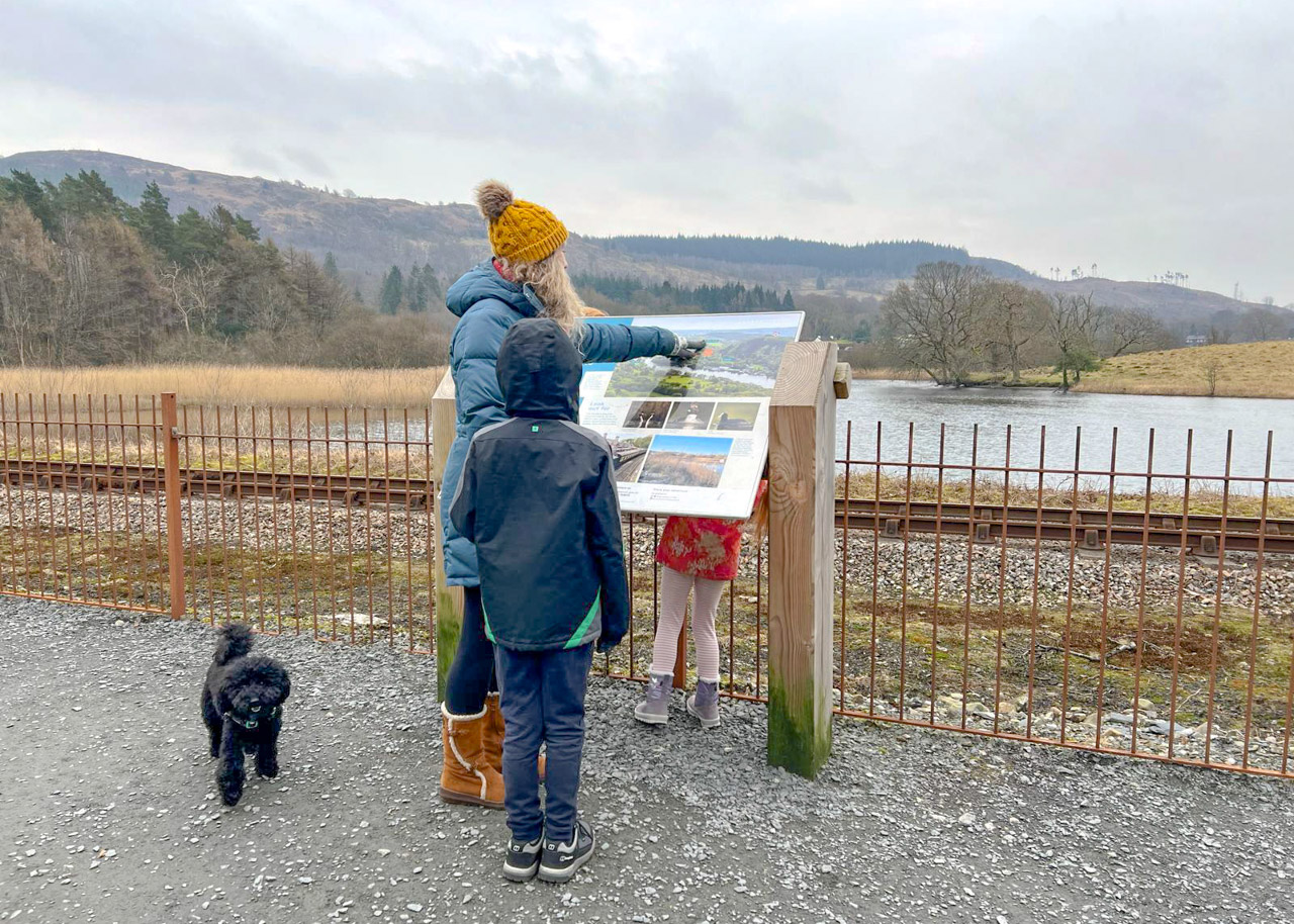 pram-friendly West Windermere walk