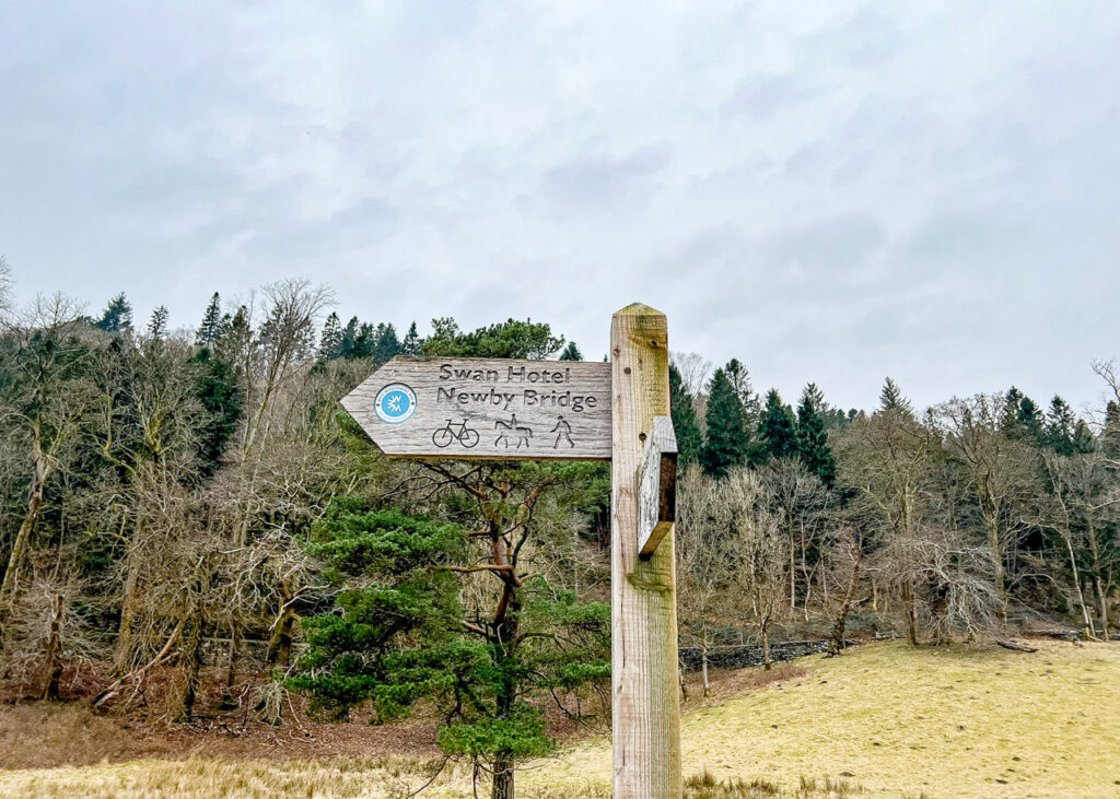 pram-friendly West Windermere walk