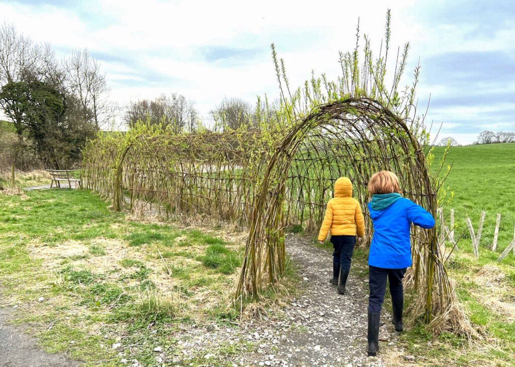 Willow Tunnel at Sizergh Barn