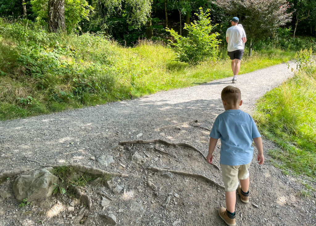 Fell Foot walk