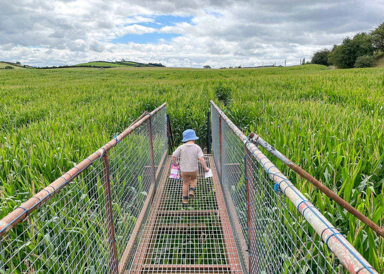 Lakeland Maze Farm Park