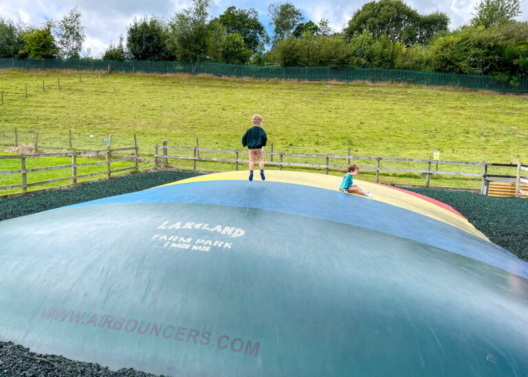 Lakeland Maze Farm Park