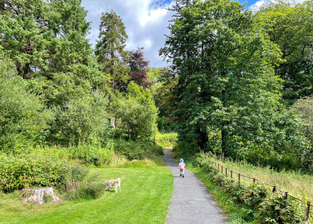 Grizedale Forest walking trail