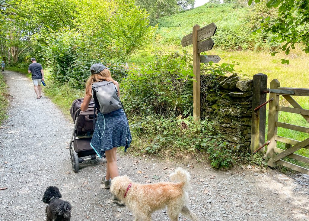 Red Nab to Wray Castle walk