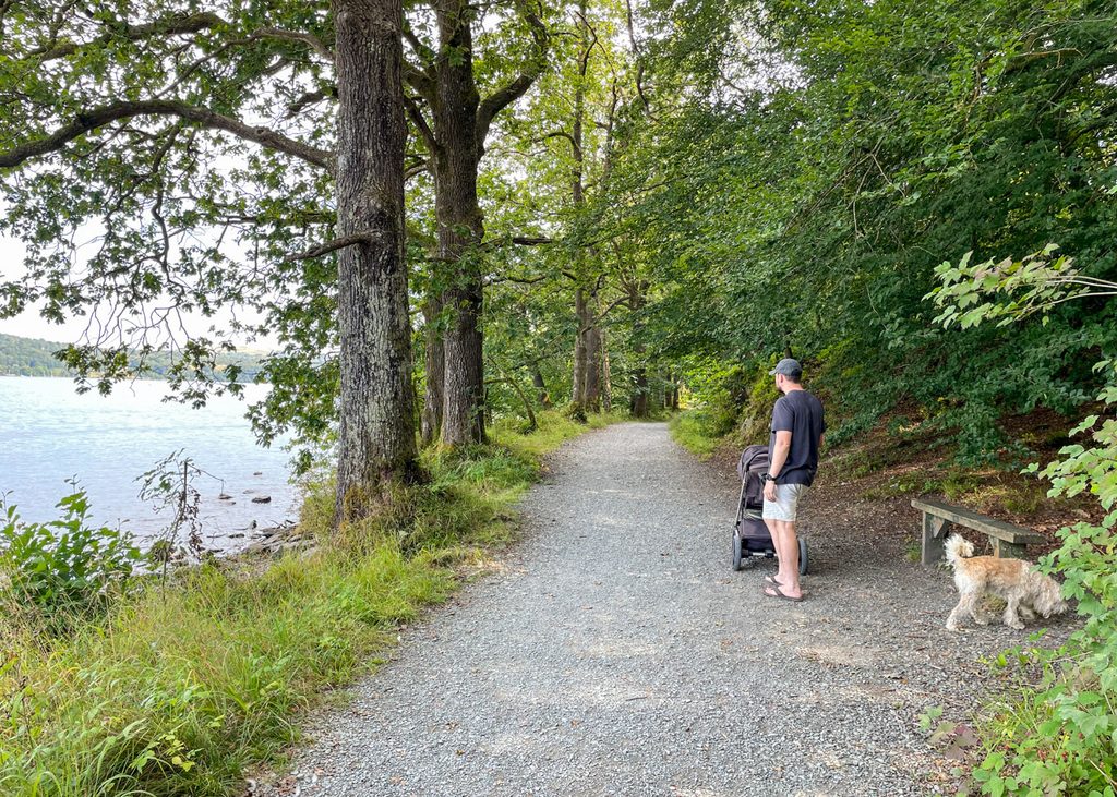 Red Nab to Wray Castle walk